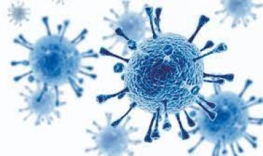 देश में कोरोना का कहर: बीते 24 घंटो में 1,17,100 नए मामले