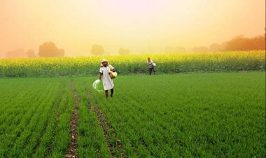 पीएम किसान सम्मान निधि योजना में हुआ बदलाव: आधार या बैंक अकाउंट नंबर से ही चेक होगा स्टेटस