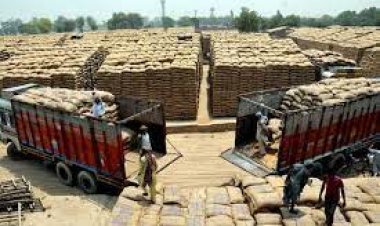 फरवरी से पाकिस्तान के रास्ते अफगानिस्तान पहुंचेगा भारत का गेहूं: मानवीय पहल