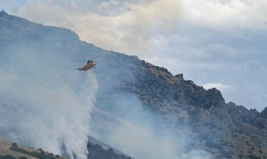 गांजे के नशे में मकड़ी को जलाने के चक्कर में लगा दी जंगल में आग: गिरफ़्तार