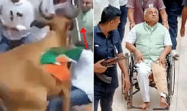 गाय ने गुजरात के पूर्व उपमुख्यमंत्री को बनाया निशाना: तिरंगा यात्रा के दौरान हुए घायल
