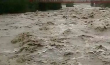 हिमाचल प्रदेश में बारिश ने मचाई आफत: भूस्खलन से लोग हुए बेघर, 192 की मौत