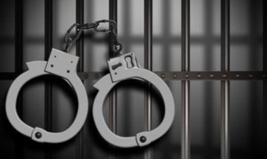 एयर होस्टेस ने दोस्तों के साथ मचाया हुड़दंग: पुलिस ने किया गिरफ्तार