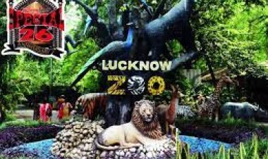 Lucknow Zoo: कुकरैल में शिफ्ट होंगे वन्य जीव, 150 एकड़ में बनेगा चिड़ियाघर और 350 एकड़ में नाइट सफारी