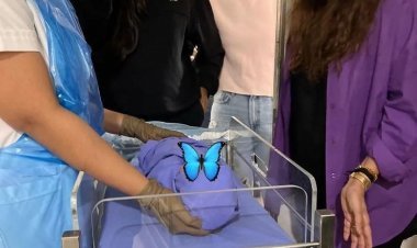 Entertainment: सोनम कपूर के बेटे को देख रोने लगीं रिया, फैंस ने कहा - अगला बॉलीवुड एक्टर