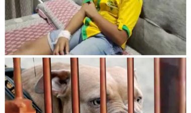 Ghaziabad: पिटबुल डॉग हुआ बेकाबू, पार्क में खेल रहे 11 साल के बच्चे पर किया हमला