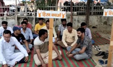 Kuno National Park: चीतो को छोड़ने पर विवाद, नाराज बिश्नोई समाज का धरना-प्रदर्शन शुरू; पीएम मोदी को लिखा पत्र