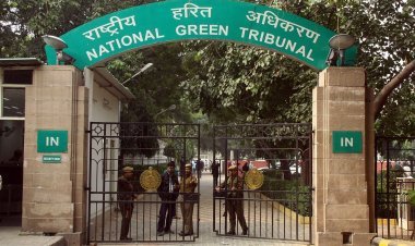 Punjab Government: ठोस और तरल अपशिष्टों का प्रबंधन नहीं किया, NGT ने पंजाब पर लगाया दो हजार करोड़ का जुर्माना