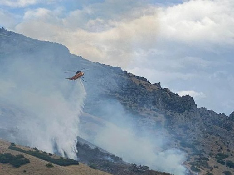 गांजे के नशे में मकड़ी को जलाने के चक्कर में लगा दी जंगल में आग: गिरफ़्तार