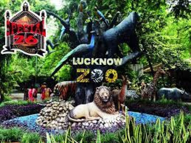 Lucknow Zoo: कुकरैल में शिफ्ट होंगे वन्य जीव, 150 एकड़ में बनेगा चिड़ियाघर और 350 एकड़ में नाइट सफारी
