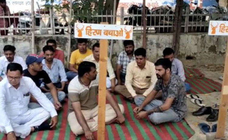 Kuno National Park: चीतो को छोड़ने पर विवाद, नाराज बिश्नोई समाज का धरना-प्रदर्शन शुरू; पीएम मोदी को लिखा पत्र