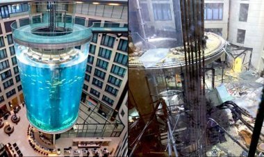 Germany: दुनिया का सबसे बड़ा एक्वेरियम अचानक से हुआ ब्लास्ट, पानी के साथ बह गई 1500 मछलियां