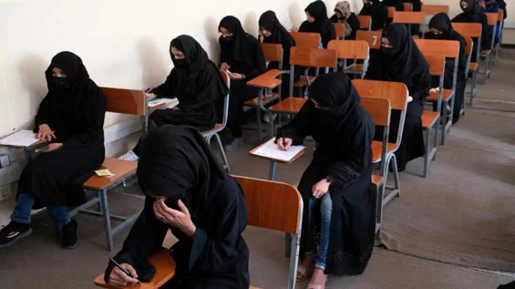 Afghanistan: तालिबान ने लगाया लड़कियों के कॉलेज जाने पर प्रतिबंध, फैसले का विरोध कर छात्रों ने किया क्लास का बहिष्कार