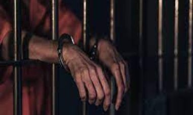 Rajasthan News: पुलिस ने 1000 करोड़ रुपये की ठगी करने वाले गिरोह को किया गिरफ्तार, 100 से अधिक मामले थे दर्ज