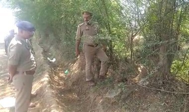 Fatehpur News: जंगल में मिला युवती का शव, दुष्कर्म के बाद हत्या की आशंका